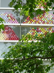 DSC06553.JPG
