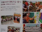 IMG_20200616_163308.jpg